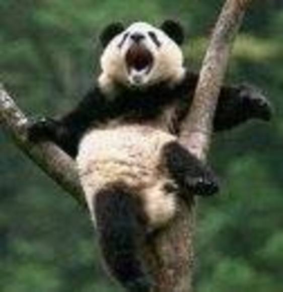 Meet your Posher, Harold - Picture 1 of 1